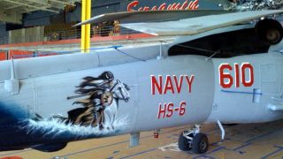 Screenshot 9 — FlyGirls SeaHawk Pak