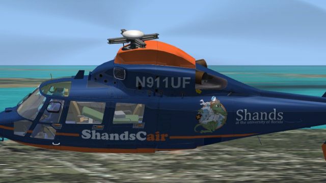 Screenshot 1 — Shands AS365 Dauphin