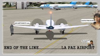 Screenshot 5 — Flight 333 Is Lost Mission