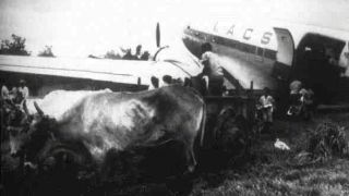 Screenshot 27 — Ferrocarril De Atlantico Mission
