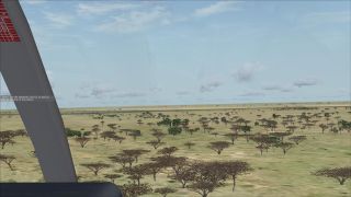 Screenshot 12 — Elephant Rescue Mission