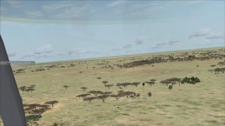Screenshot 19 — Elephant Rescue Mission