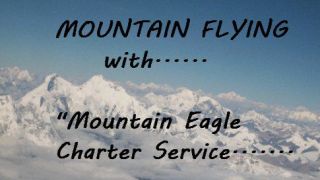 Screenshot 4 — Mountain Eagle Charter Flights Mission