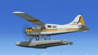 Screenshot 2 — Default DeHavilland DHC-2 Beaver Views