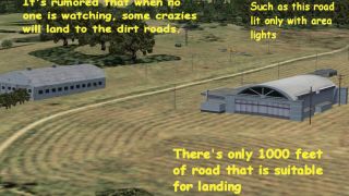 Screenshot 2 — LakeSide Dirt Strip Scenery