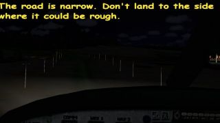 Screenshot 10 — LakeSide Dirt Strip Scenery
