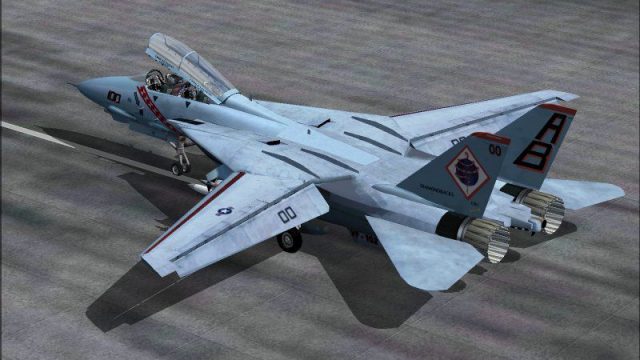 Screenshot 1 — Grumman F-14B Tomcat