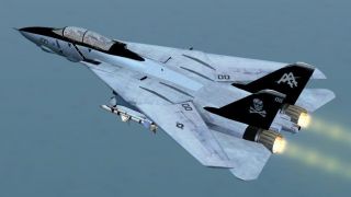 Screenshot 6 — Grumman F-14B Tomcat