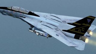Screenshot 5 — Grumman F-14B Tomcat