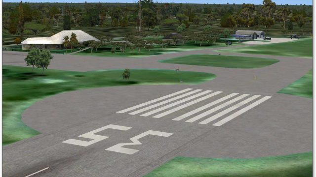 Screenshot 1 — Skukuza Airport Scenery