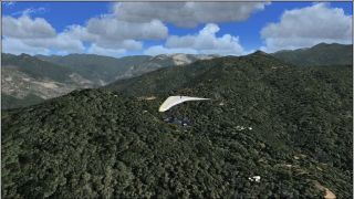 Screenshot 9 — 30cm Generic Project Textures Forests