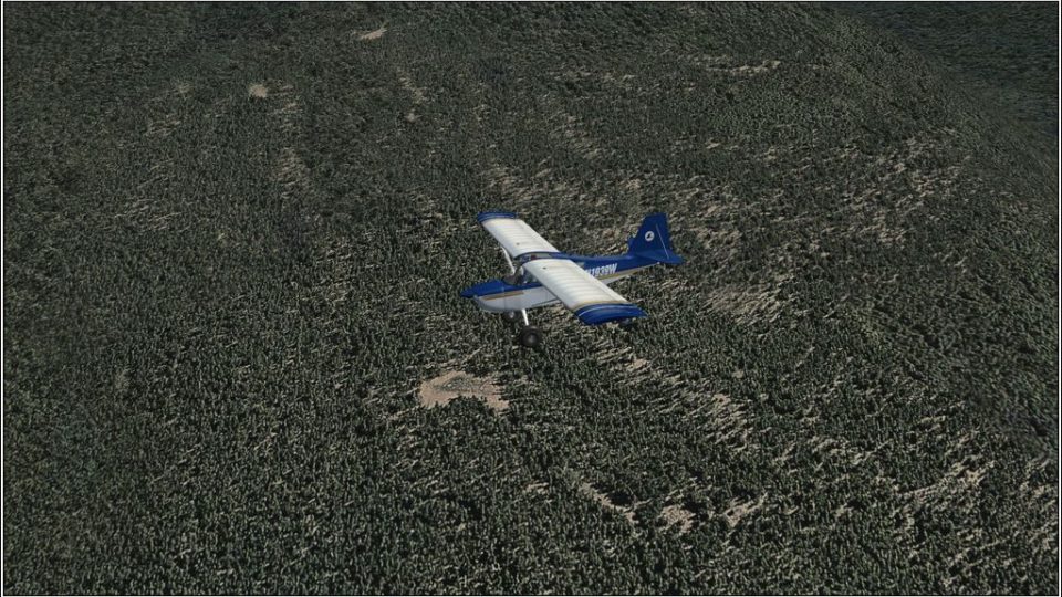 coniferforestszip-42-2009-10-