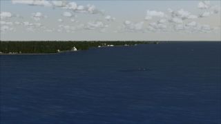 Screenshot 19 — Cons LFBB Scenery