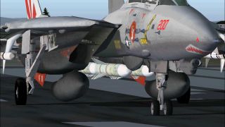 Screenshot 1 — F14 VF111- Sundowners