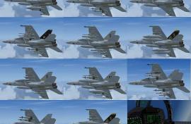 FS2004 Boeing F/A-18E Super Hornet