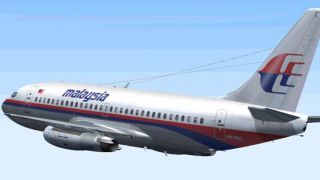 Screenshot 2 — Malaysia Boeing 737-200, new colors
