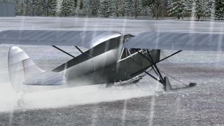 Screenshot 1 — DeHavilland DH-80A Puss Moth Ski