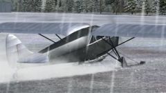 Screenshot 2 — DeHavilland DH-80A Puss Moth Ski