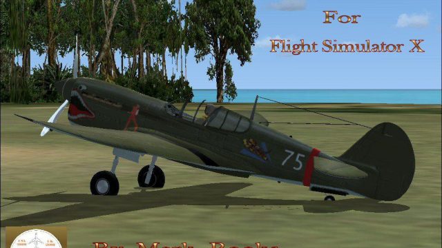 Screenshot 1 — Curtiss P-40 Tiger