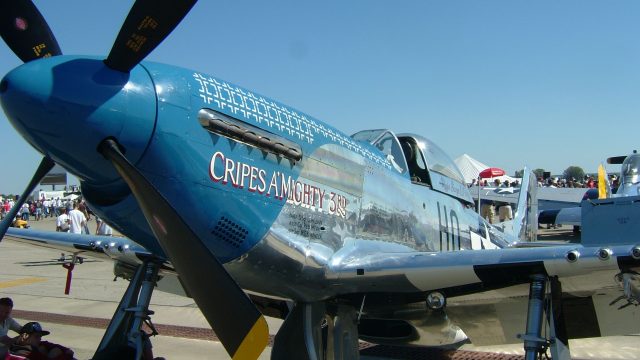 Screenshot 1 — Cripes A' Mighty 3rd P-51