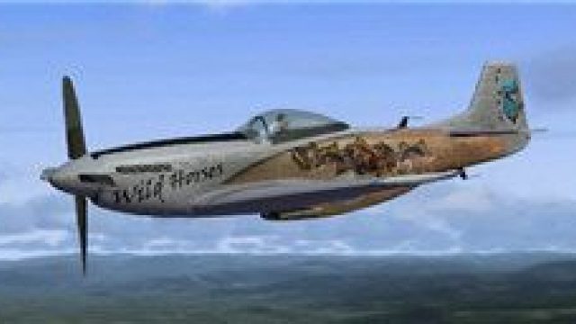 Screenshot 1 — Wild Horses P-51 Mustang