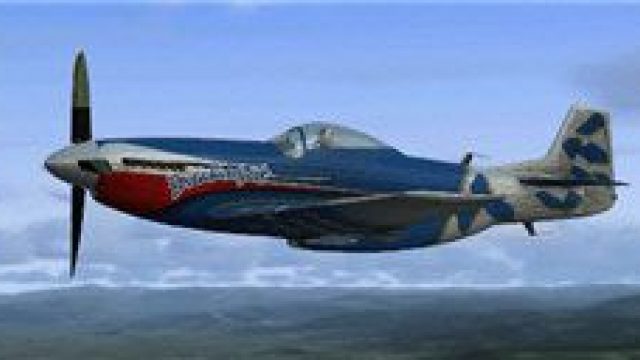 Screenshot 1 — Eagleskinner P-51 Mustang