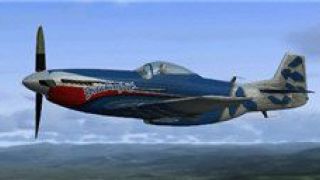Screenshot 1 — Eagleskinner P-51 Mustang