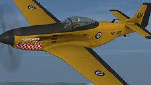 Screenshot 1 — RNZAF Red Checkers NZ 1901