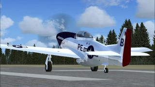 Screenshot 1 — P-51 Little One III