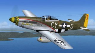 Screenshot 1 — P-51D The Millie G