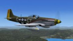Screenshot 2 — P-51D The Millie G
