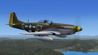 Screenshot 2 — P-51D The Millie G