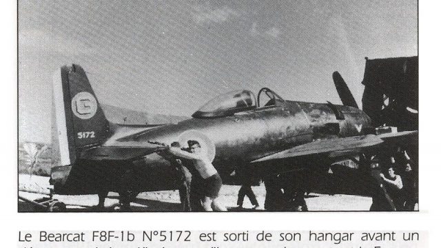 Screenshot 1 — Grumman Bearcat F8F-1B And F8F-2