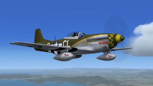 Screenshot 1 — P-51D 338th FS, 55th FG