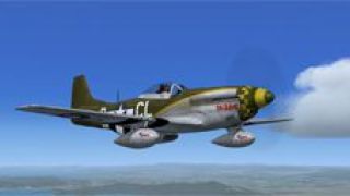 Screenshot 2 — P-51D 338th FS, 55th FG