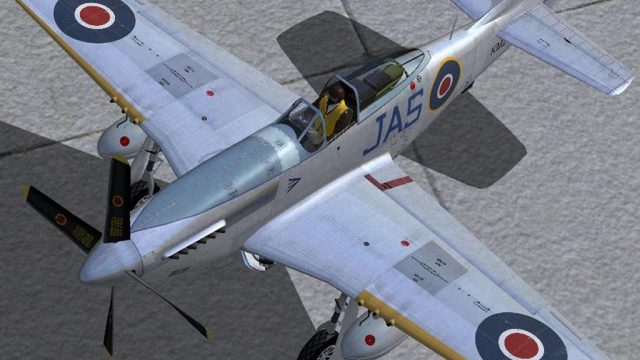 Screenshot 1 — RCAF P-51D