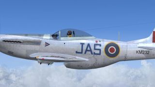 Screenshot 3 — RCAF P-51D