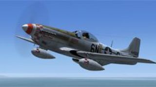 Screenshot 7 — Mustangs Of The 339th Fighter Group