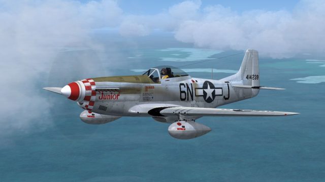 Screenshot 1 — P-51D 'Junior', 339th FG