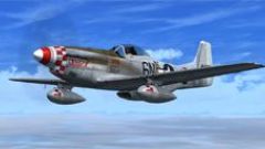 Screenshot 2 — P-51D 'Junior', 339th FG