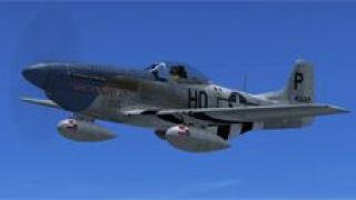 Screenshot 2 — P-51D 'Cripes A'Mighty 3rd'