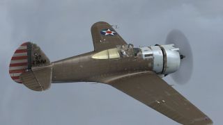 Screenshot 9 — P-36 Hawk Texture Pack