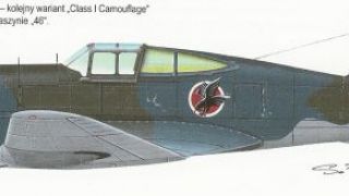 Screenshot 5 — Curtiss P-36 Hawk