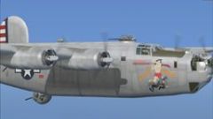Screenshot 6 — Consolidated B-24J 'Butchers Daughter'