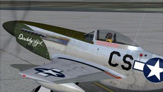 Screenshot 1 — North American Aviation P-51D Mustang
