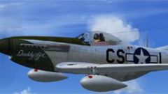 Screenshot 2 — North American Aviation P-51D Mustang