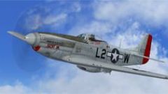 Screenshot 2 — North American P-51D 'Scat VII'