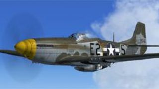 Screenshot 3 — North American P-51D-5-NA 361st FG