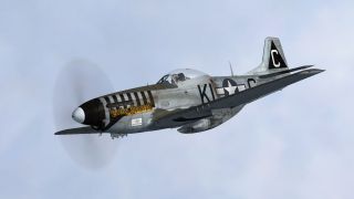 Screenshot 1 — North American P-51D-5-NA 20th FG