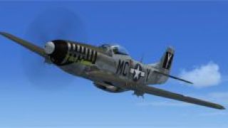 Screenshot 3 — North American P-51D-5-NA 20th FG